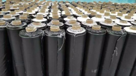 �����N/�����N